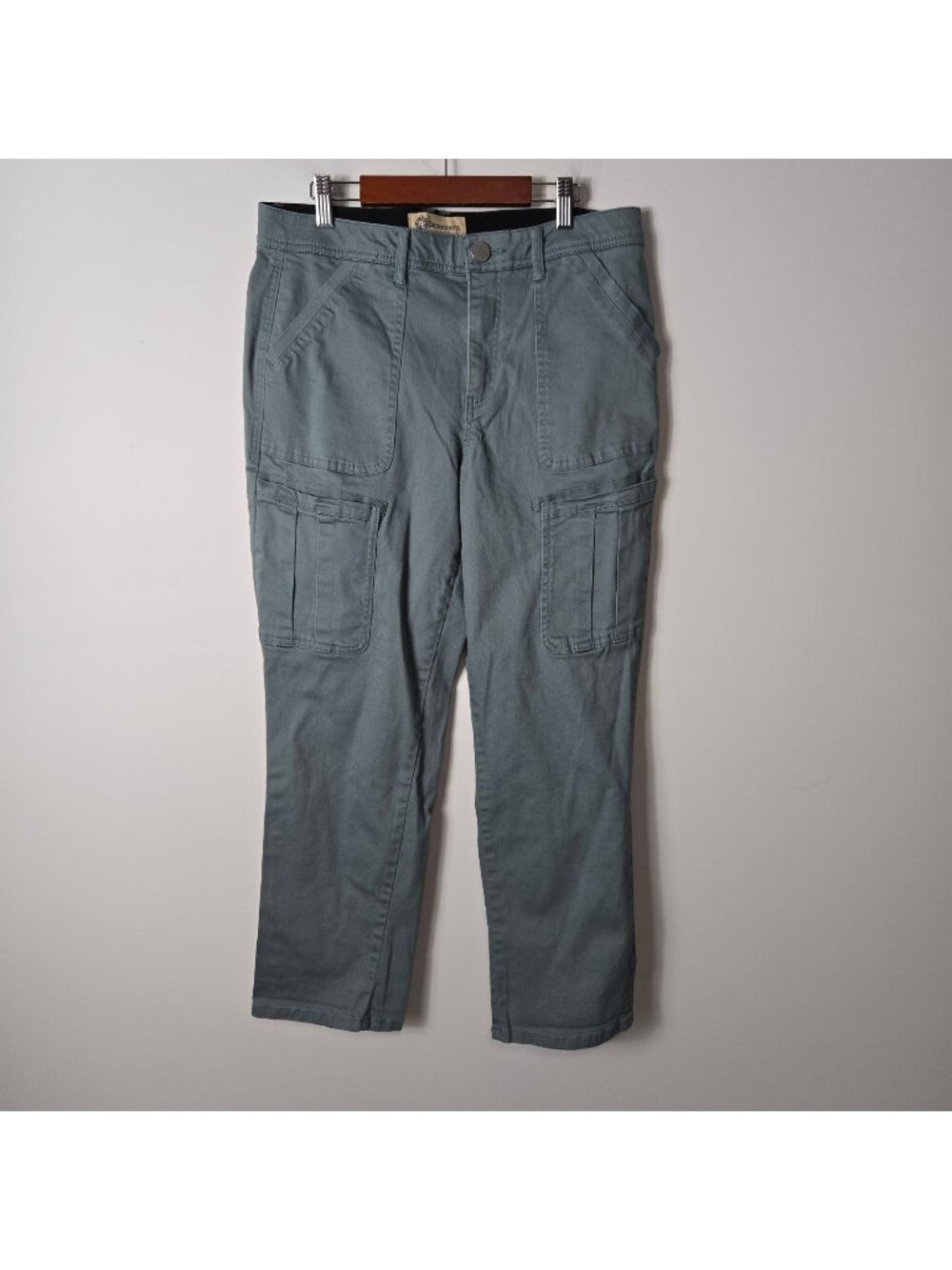 Democracy Size 10 "Ab" Technology Ankle Utility Cargo Pants Women's Green Blue